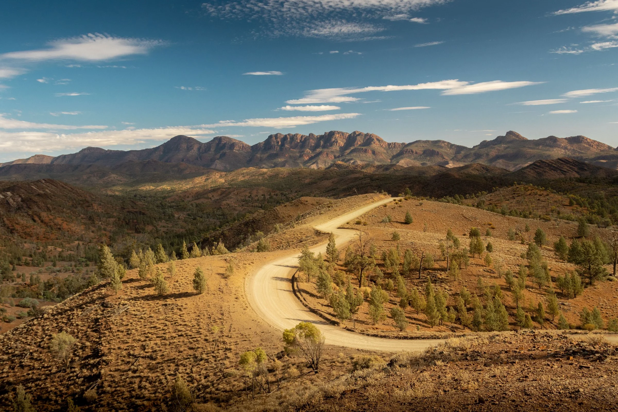 A winding dirt road crosses the ochre Flinders Ranges.